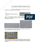 Desarrollo.docx