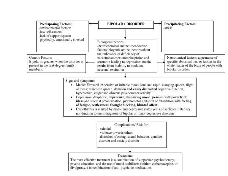 Pathophysiology of Bipolar 1 Disorder | PDF | Bipolar Disorder | Mania