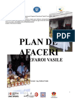 Plan Afaceri Stefaroi Vasile