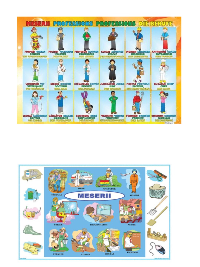 Meserii | PDF