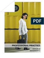 Professional Practice Assignment 2 - Cecillia Le