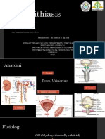 Nefrolithiasis Referat