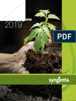 Catalog Legume Syngenta - 2019
