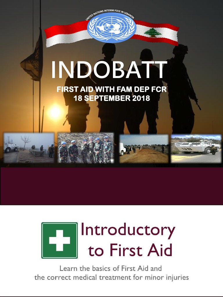 First Aid Techniques and Patient Transfer | PDF | First Aid | Medical ...