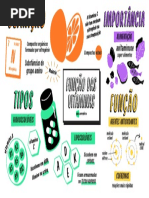 Ecologia - Cadeia Alimentar, Biomas e Relações Ecológicas