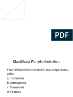 Klasifikasi Plathyhelmintes