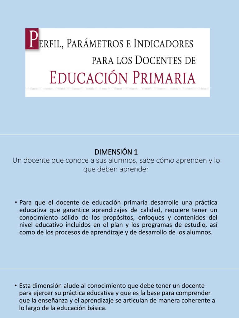 Perfiles Parametros e Indicadores de Los Docentes de