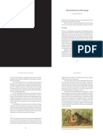 The Petrification of The Image PDF