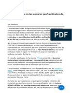 Cianobacterias en Las Oscuras Profundidades de Río Tinto