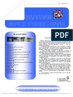 Detectivii Apei Pierdute NR 1 Martie 201110 PDF