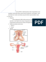 Revisi HSG