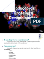 Produção de proteínas recombinantes