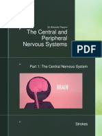 The Central and Peripheral Nervous Systems