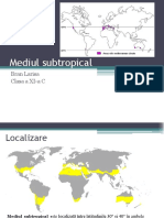 Mediul Subtropical