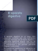 El Aparato Digestivo - Scribd