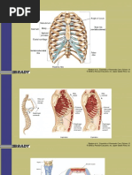 Pulmonary Traumatology
