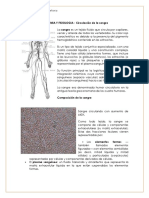 ANATOMIA_Y_FISIOLOGIA_docx_de_la_sangre.docx