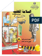 السلامة المهنية - مصر PDF