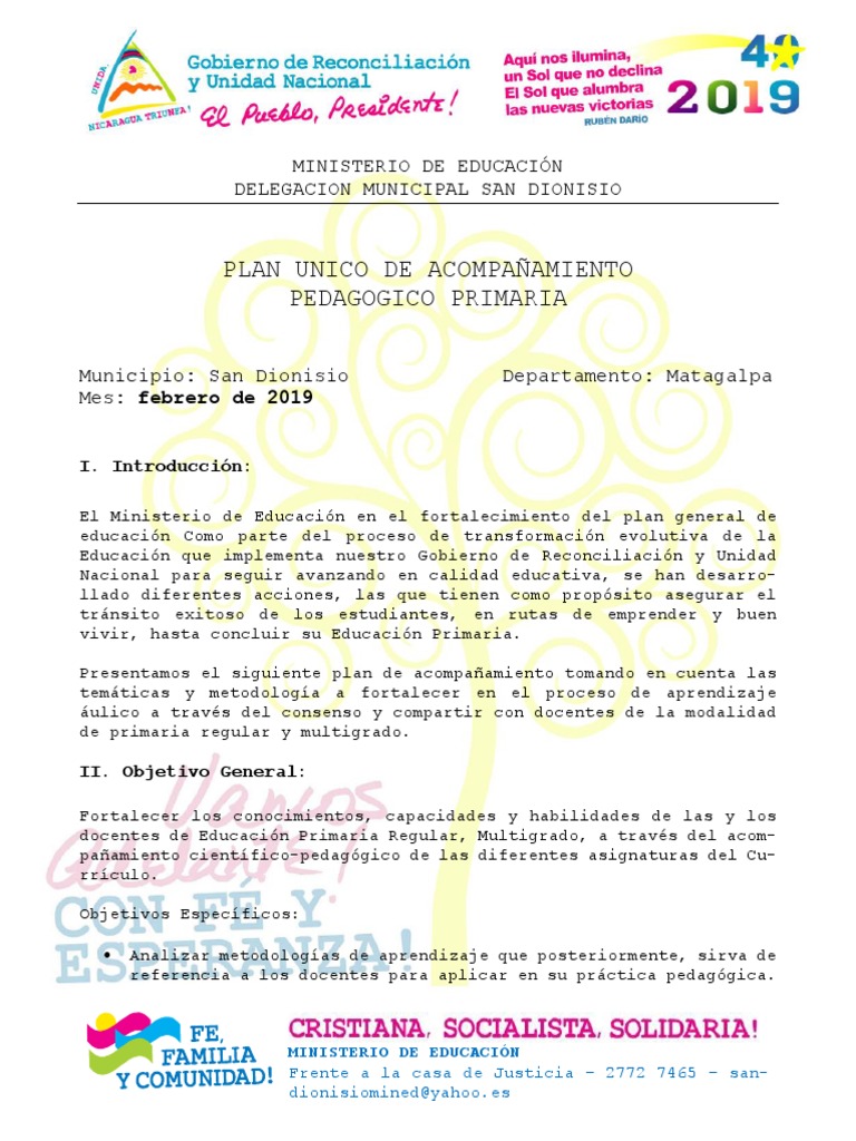 Plan de Acompañamiento Pedagógico 2019 | PDF | Educación primaria ...