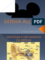 SistemaAuditivo SensaçãoPercepção