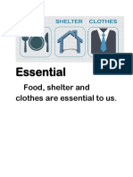 Essential: Food, Shelter and Clothes Are Essential To Us