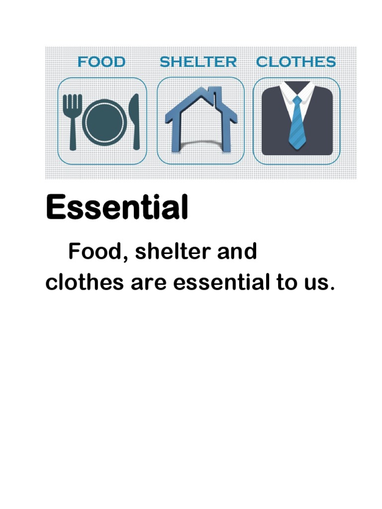 Essential Food, Shelter and Clothes Are Essential To Us PDF