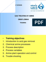 Gas Treating by Amine