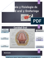 Anatomía y Fisiología de Cavidad Oral y Orofaringe