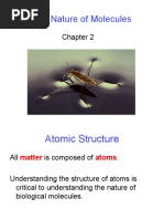 The Nature of Molecules