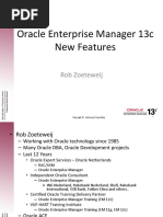 OEM 13c NewFeatures