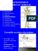 Traumatizmele Membrului Toracic ROM