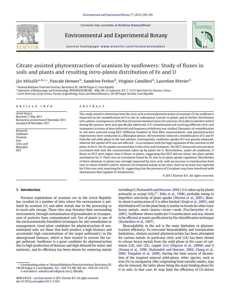 Citrate Assisted Phytoextraction of Uranium by Sunflowers Study of