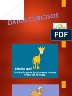 DATOS CURIOSOS