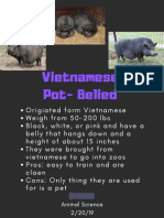 vietnamese pot-bellied - poster example name edit
