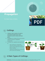 Ag Science - Student Cutting Propagation Example 1