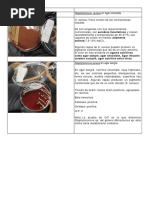 Medio SIM | PDF | Medio de crecimiento | Esterilización (Microbiología)