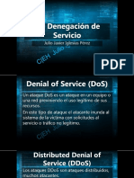 10 Denegación de Servicio  CEH-V8-ESPAÑOL