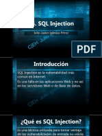 14 SQL Injection  CEH-V8-ESPAÑOL