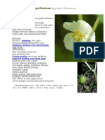 Podophyllum Peltatum: Intestines Weakness, Faintness From Diarrhea/stool