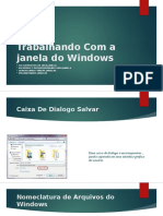 Trabalhando Com A Janela Do Windows