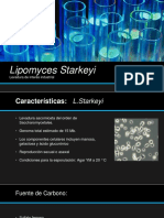 Lipomyces Starkeyi - Interes Industril