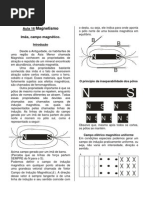 Física - II - Apostila IV - Magnetismo