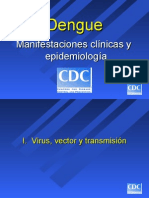 Dengue CDC