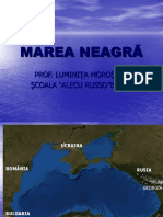 0 0mareaneagra