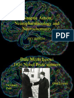 neurochemistry