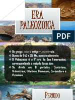 Era Paleozoica