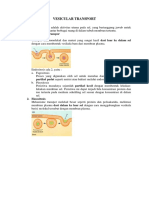 Vessicular Transport