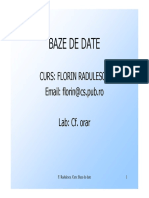 Baza de datre - FLorin RAdulescu.pdf