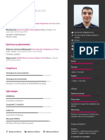 Hamza Matteli CV