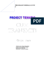 Proiect Tematic Cum Transmit